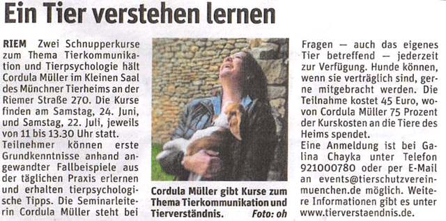 Auszug aus Hallo München